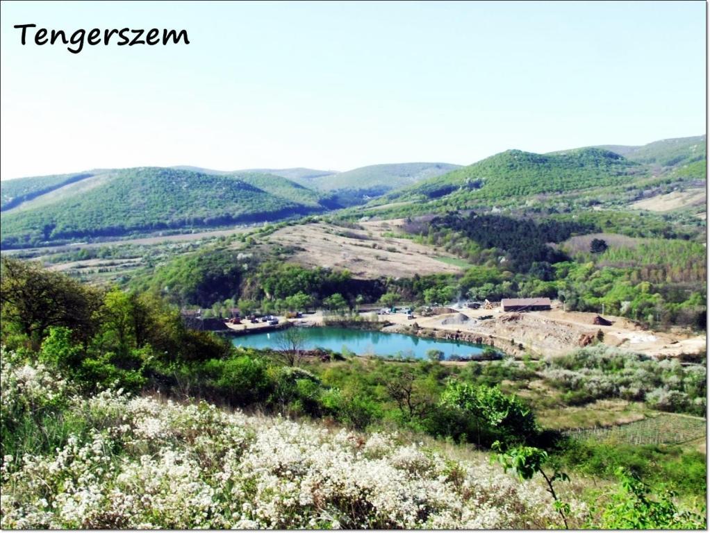 مبيت وإفطار Erdőbénye Benyei Fogado Panzio Es Etterem المظهر الخارجي الصورة
